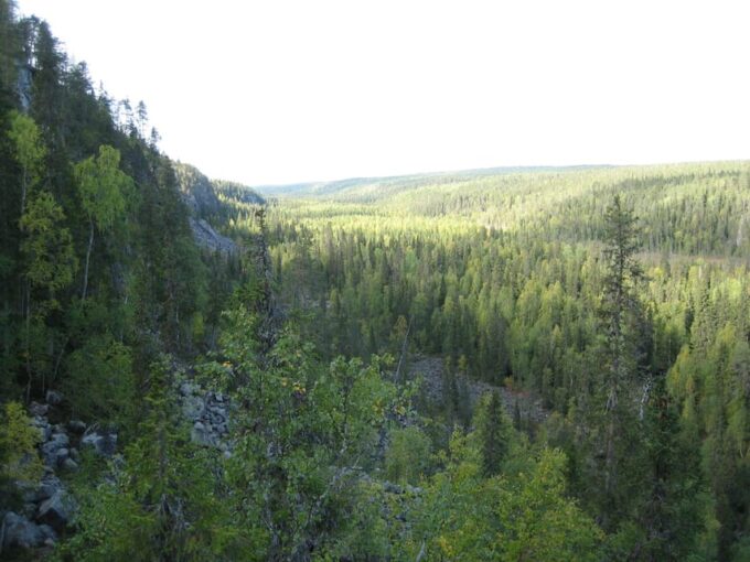 Summer Tour From Rovaniemi: Korouoma Waterfall and Ranua Zoo - Weather Policy