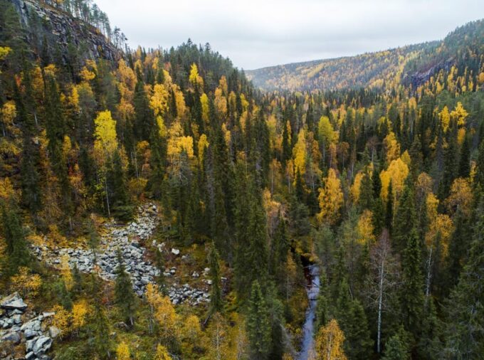 Summer Tour From Rovaniemi: Korouoma Waterfall and Ranua Zoo - Customer Reviews