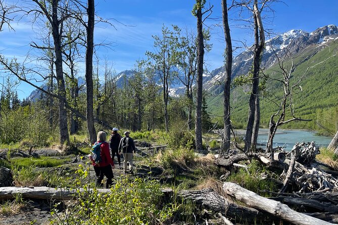 Summer Valley and Forest Hike - Whats Included