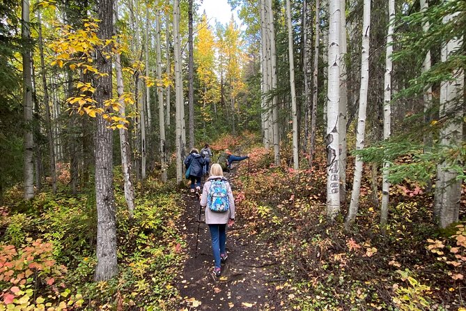 Summer Valley and Forest Hike - Ideal for Solo Travelers
