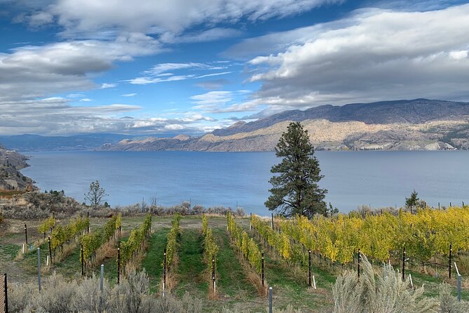 Summerland Bottle Neck Drive Sip Disturber Half Day Wine Tour Shared Tour - Pickup Details