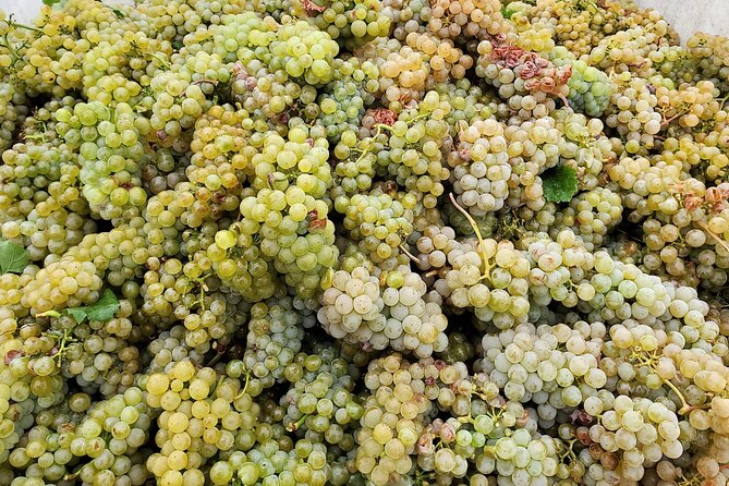 Summerland Private Wine Tour - Full Day - Customization Options