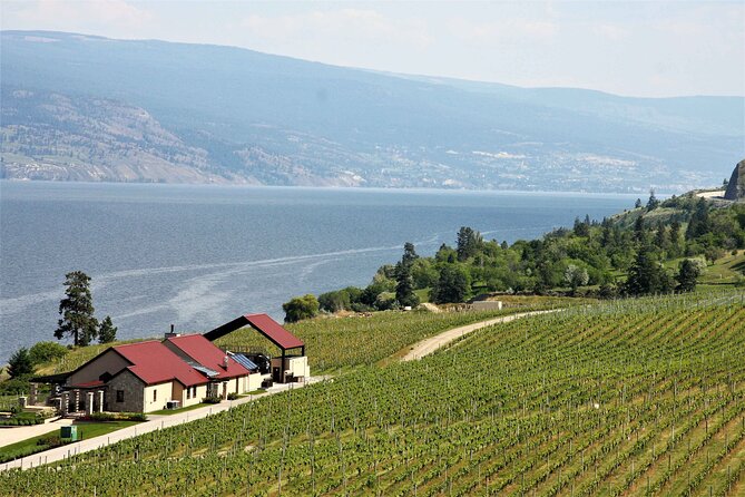 Summerland Private Wine Tour - Half Day - Explore Boutique Wineries