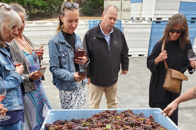 Summerland Private Wine Tour - Half Day - Intimate Foodies Experience
