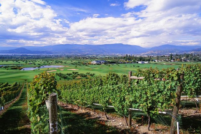 Summerland Wine Tour - Classic - 4 Wineries - Picnic Lunch Details