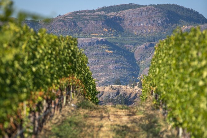Summerland Wine Tour Full Day Guided With 5 Wineries - Pickup Information