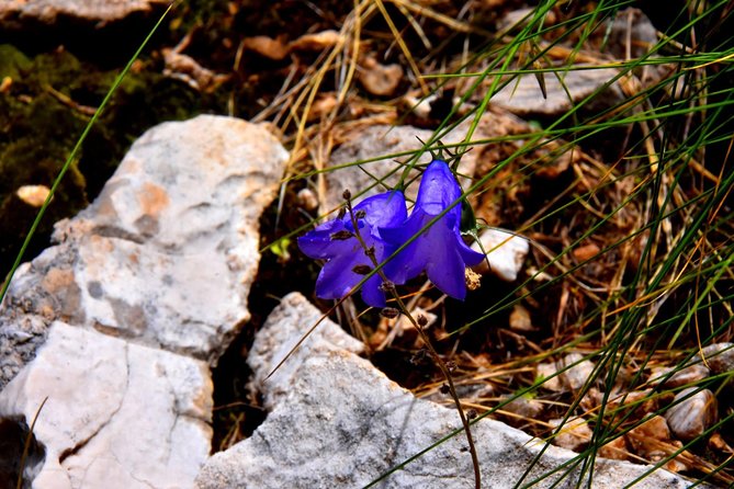 Summit Albania Hiking, Holy Mount of Tomorr,Off Road Albania, Berat (ARG) - Included Services and Amenities