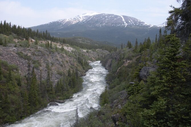 Summit Experience & Yukon Suspension Bridge Tour - Inclusions and Exclusions