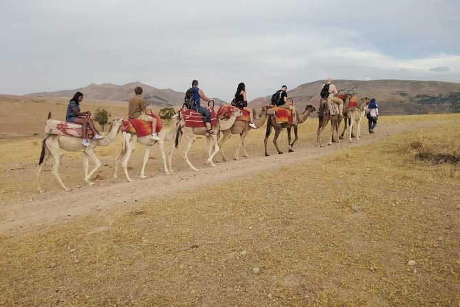 Summiting The Atlas Mountains Day Hike & Trek From Marrakech - Pricing and Cancellation Policy