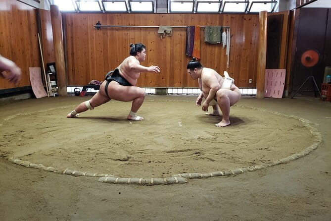 Sumo Practice Viewing Guided Tour and Photo With Sumo Wrestlers - Meeting Point and Access