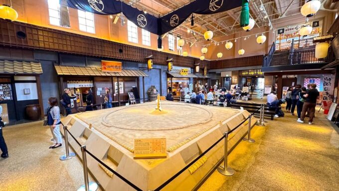 Sumo Practice Watch With Specialist in Tokyo - Sumo Training Observation