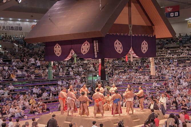 Sumo Tournament Experience in Nagoya - Key Points