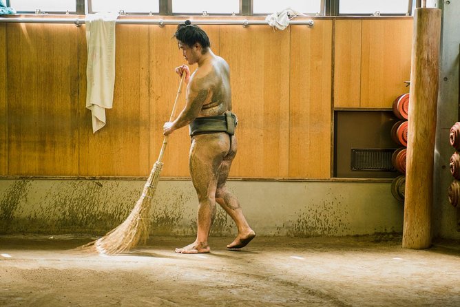 Sumo Training Session - Accessibility and Suitability