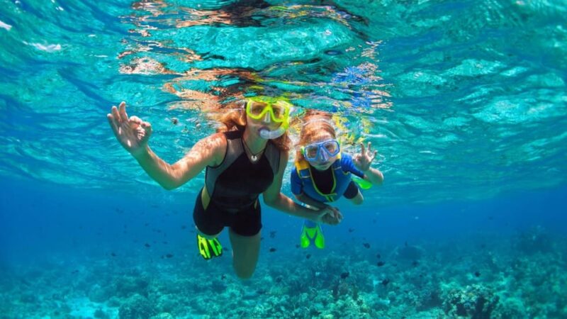 Sun and Sea Retreat: Full-Day Tour With Swimming and Lunch - Sightseeing Cruise