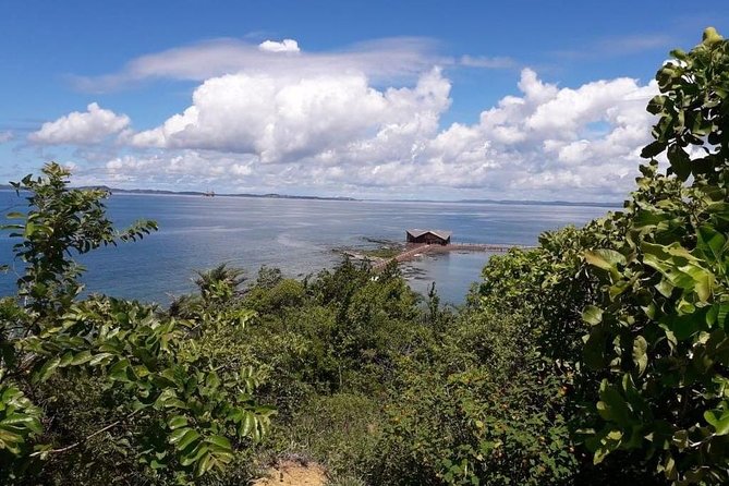 Sun, Sea and Magic: Ilha Dos Frades and Itaparica - Departure From Salvador - Tour Accessibility