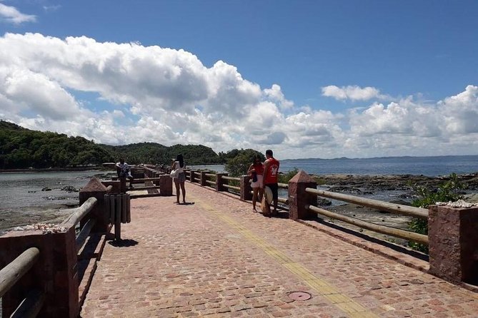 Sun, Sea and Magic: Ilha Dos Frades and Itaparica - Departure From Salvador - Tour Highlights