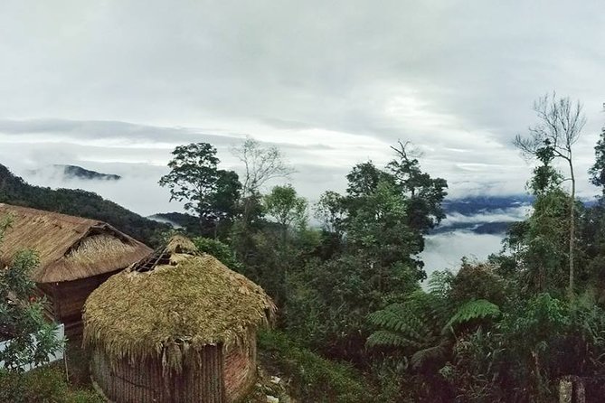 Sun, Sea, and Stories: Da Nangs Unique Cultural Odyssey - Taking in Local Culture