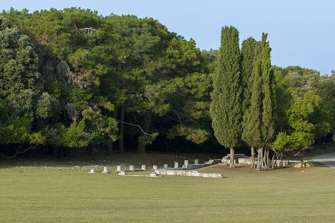 Sun , Sea & Savor : National Park Brijuni Cruise & Lost Bay Beach - Traveler Participation