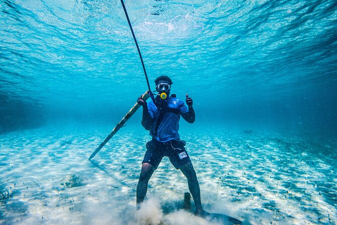 Suncay SNUBA Diving Adventure With Lunch - Bahamian Lunch and Beverages