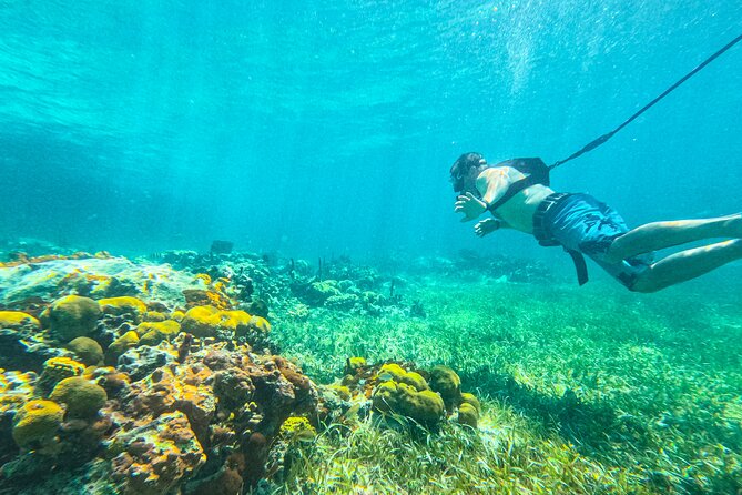 Suncay SNUBA Diving Adventure With Lunch - Accessibility and Health Restrictions