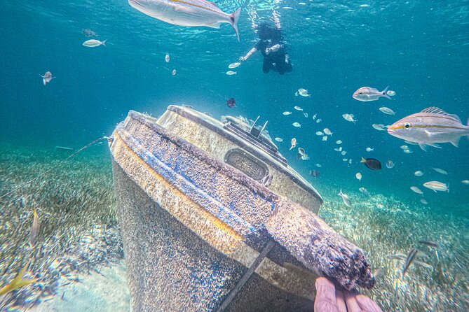 Suncay Sunken Sculpture Snorkel & Iguana Encounter With Lunch - Guest Experience Highlights