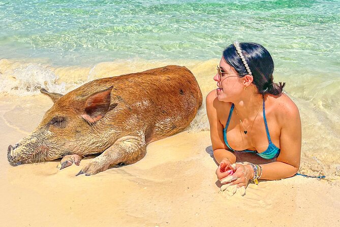 Suncay Swimming Pigs Adventure With Lunch at Pigs Beach - Overview and Location