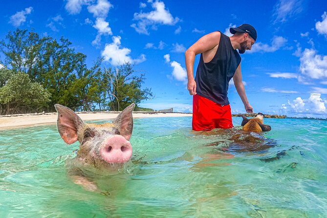 Suncay Swimming Pigs Adventure With Lunch at Pigs Beach - Negative Customer Experiences
