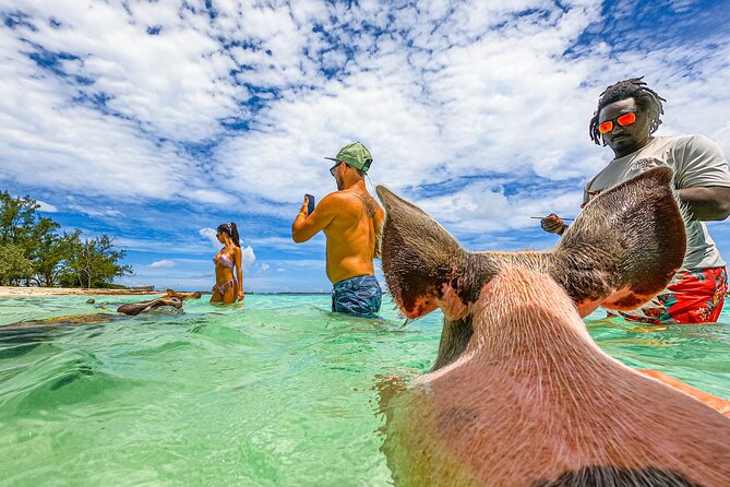 Suncay Swimming Pigs Adventure With Lunch at Pigs Beach - Tips and Recommendations