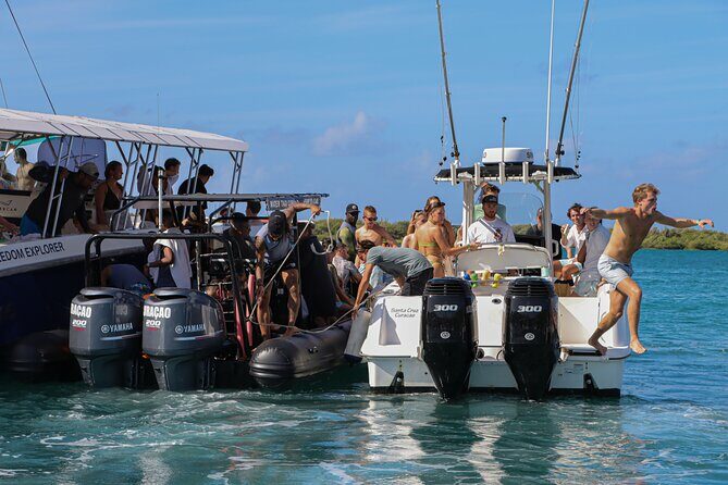 Sunday Boat Festival/Meet up with Djs, open bar & snacks - What to Expect