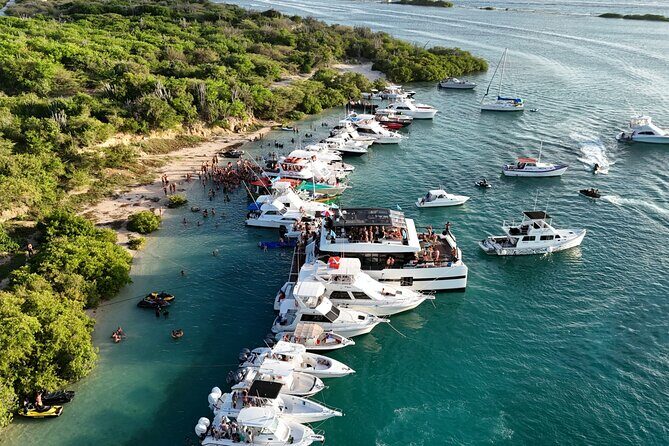 Sunday Boat Festival/Meet up with Djs, open bar & snacks - Experience Highlights