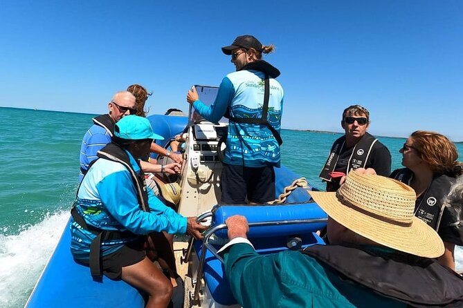 Sunday Island Explorer - Visitor Reviews