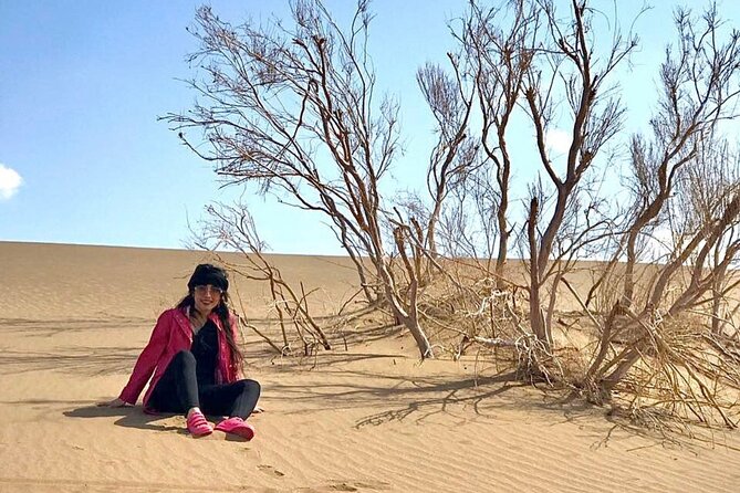 Sundowner Dune Safari With Dinner - Adventure Activities