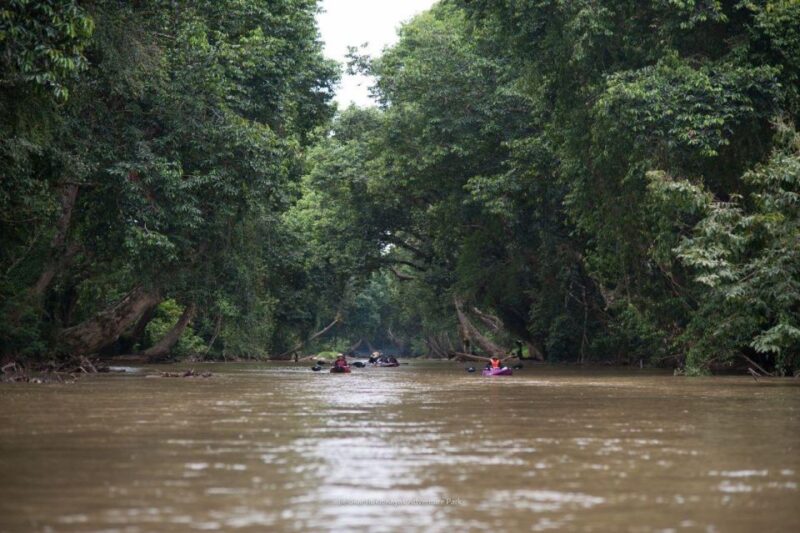 Sungai Berang Wildlife & Cultural Kayak Tour - Itinerary