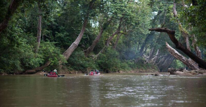Sungai Berang Wildlife & Cultural Kayak Tour - Wildlife Experience
