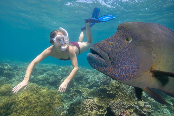 Sunlover Reef Cruises Cairns Great Barrier Reef Experience - Onboard Amenities