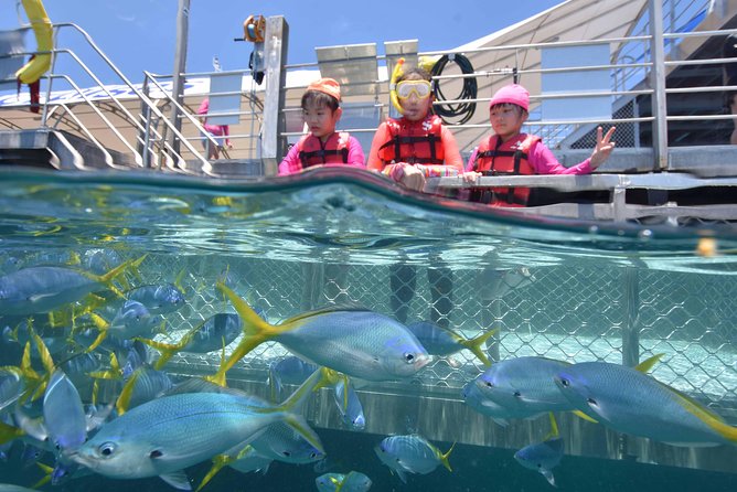 Sunlover Reef Cruises Cairns Great Barrier Reef Experience - Customer Reviews and Feedback