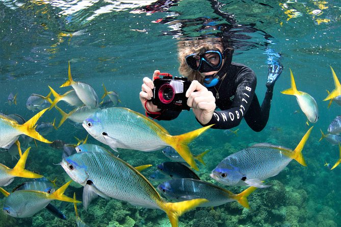 Sunlover Reef Cruises Cairns Great Barrier Reef Experience - Snorkeling and Glass Bottom Boat