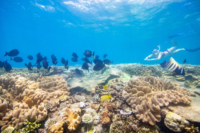 Sunlover Reef Cruises Cairns Great Barrier Reef Experience - Helicopter Flights and Photography