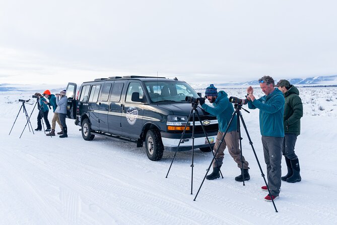 Sunrise 4-Hour Grand Teton Wildlife Adventure - Wildlife Spotting Opportunities