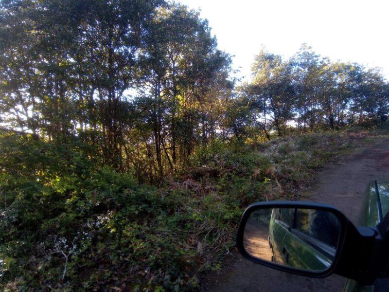 Sunrise and Off-Road PRIVATE Tour - Itinerary Highlights