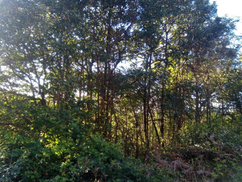 Sunrise and Off-Road PRIVATE Tour - Tour Highlights