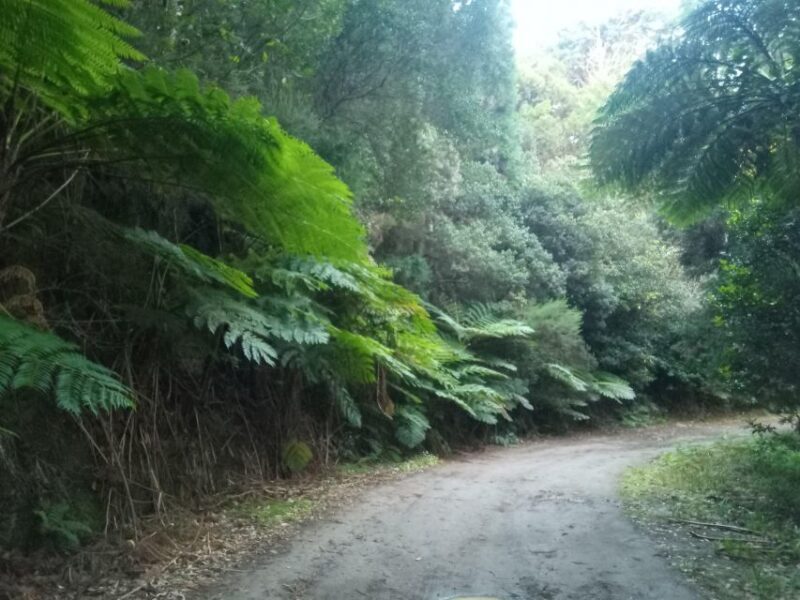 Sunrise and Off-Road PRIVATE Tour - Pickup and Drop-off