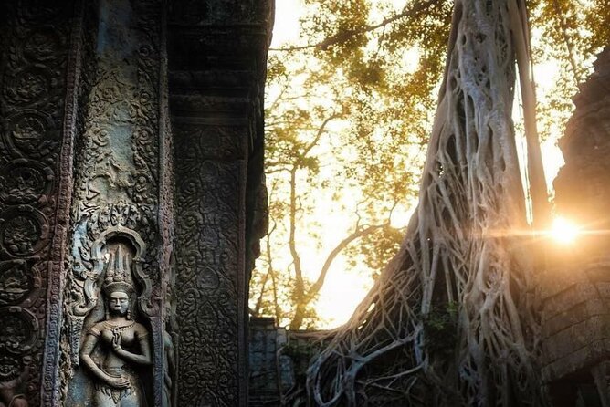 Sunrise Angkor Wat Half Day Join-In Tour (By Luxury Minivan) - Angkor Wat Sunrise Experience