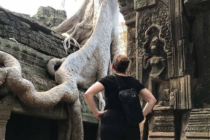 Sunrise Angkor Wat Private Tour - Tour Overview