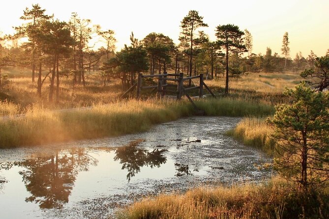 Sunrise at Kemeri National Park - Tour Overview