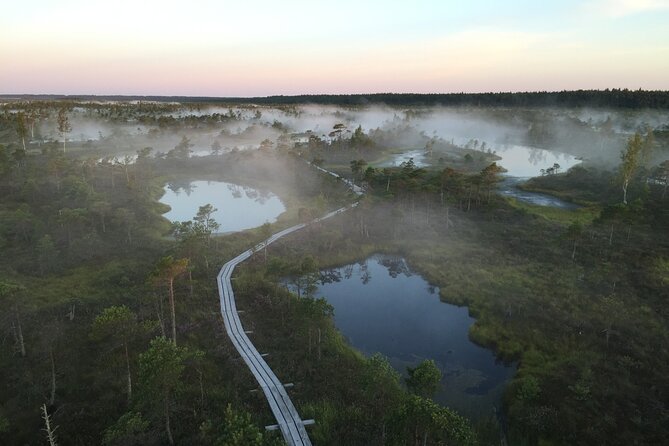 Sunrise at Kemeri National Park - Breathtaking Bog Scenery