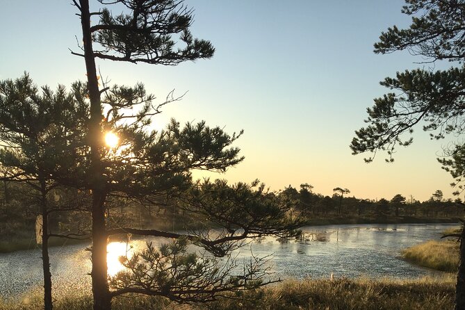 Sunrise at Kemeri National Park - Guided Exploration