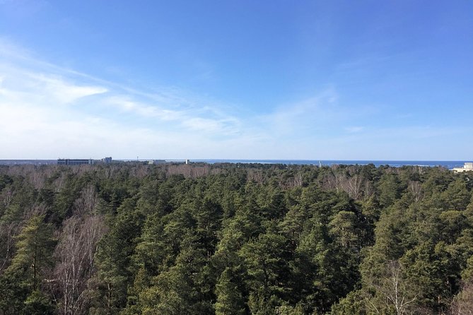 Sunrise at Kemeri National Park + Jurmala - Traveler Experience
