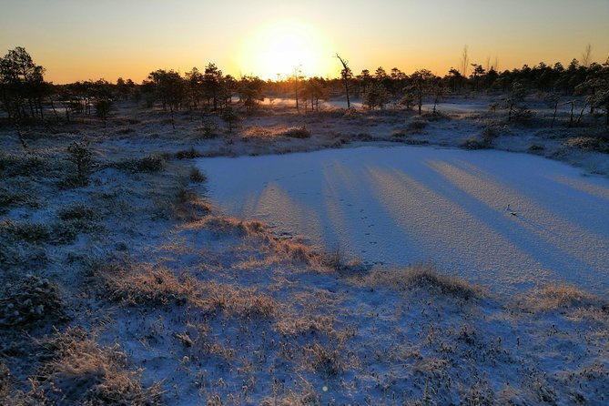Sunrise at Kemeri National Park + Jurmala - Visiting Jurmala Beach