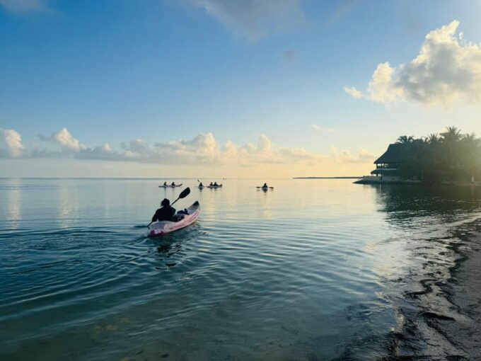 Sunrise at Mangrove - Pickup and Transportation